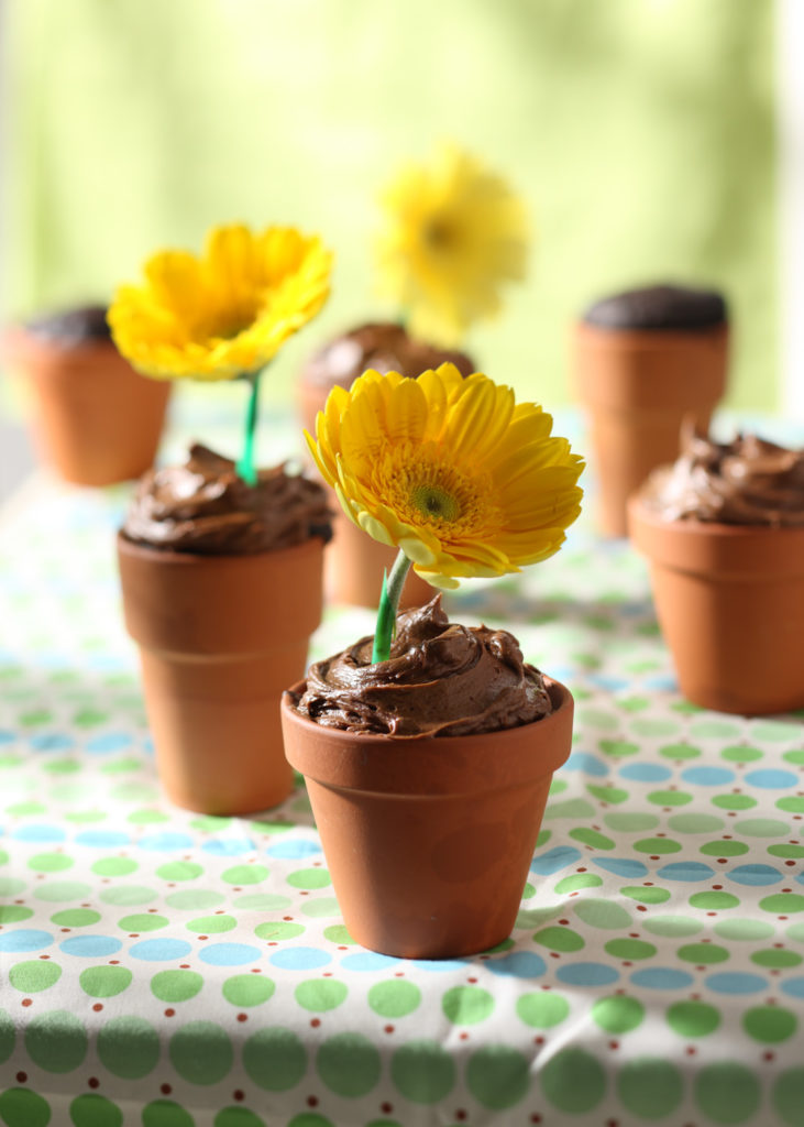 Adorable DIY Chocolate Flowerpot Cakes Image