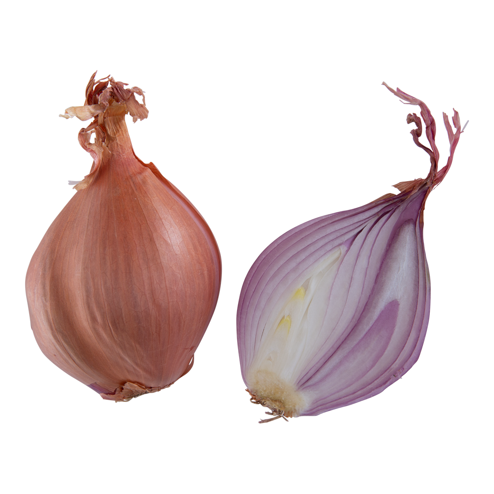 What Are Shallots?