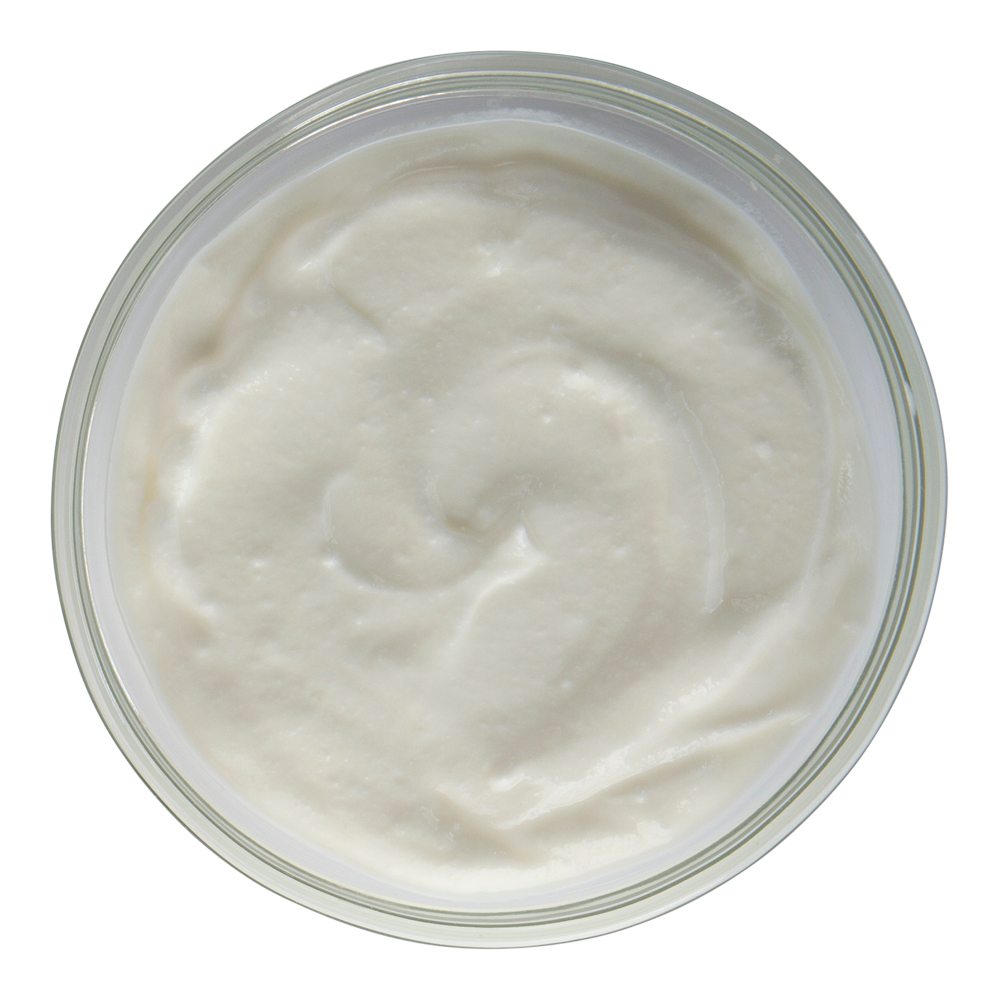 Greek Yogurt Important Facts, Health Benefits, and Recipes Relish