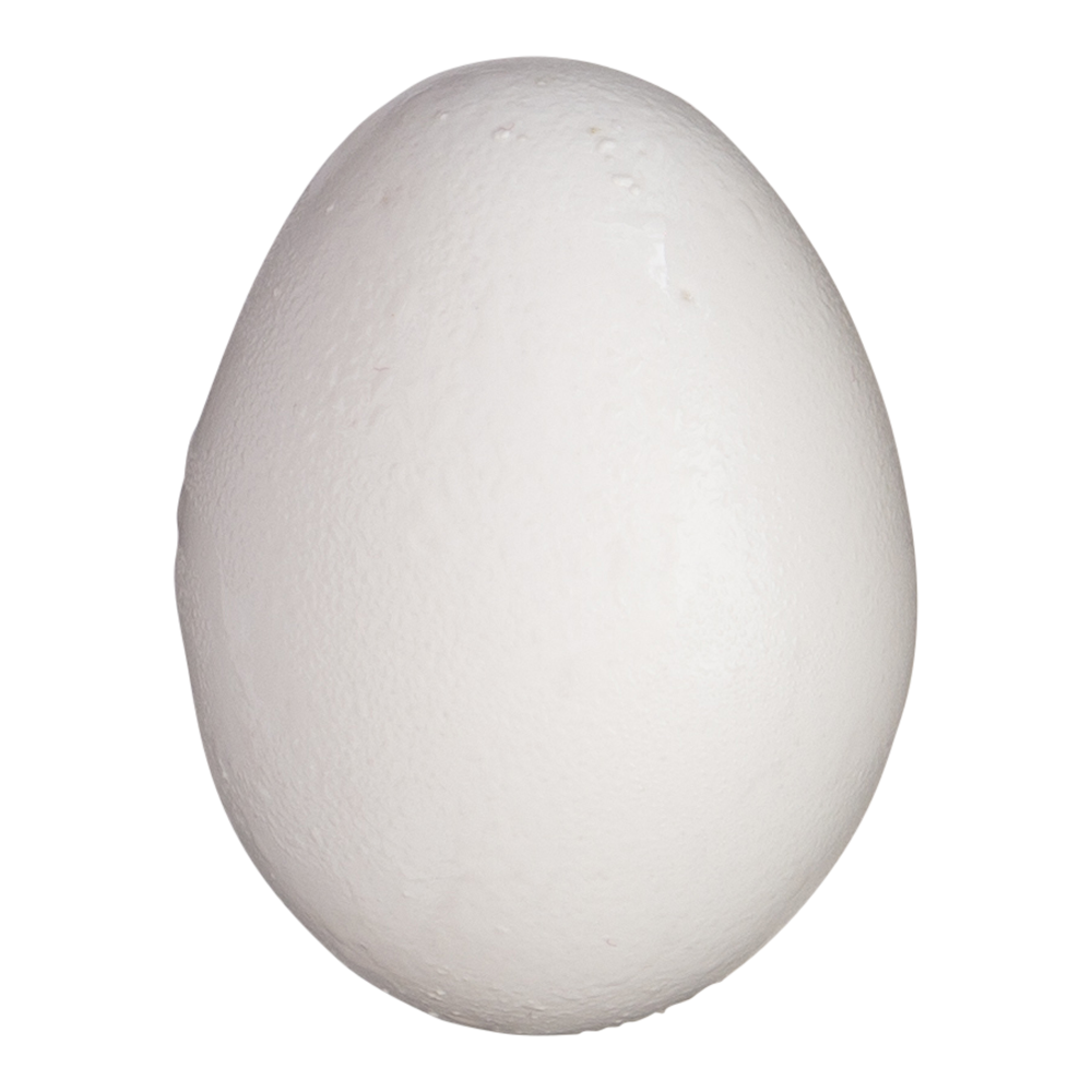 Egg carton - Wikipedia