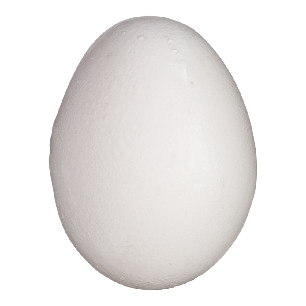 Fresh chicken egg on transparent background PNG - Similar PNG