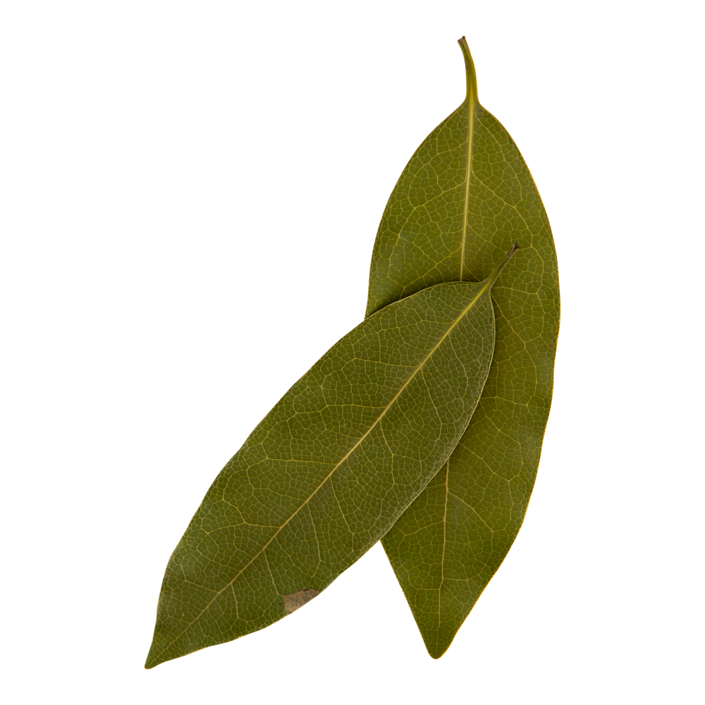 Bay Leaf Important Facts Health Benefits and Recipes Relish